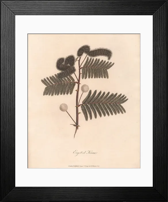 Framed Print : Ergett El Krome 1789 James Heath 1757-1834 Framed Print : Ergett El Krome 1789 James Heath 1757-1834