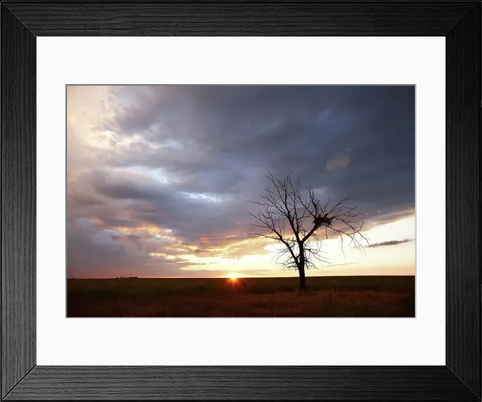 Framed Print : 4316, 4316-4961