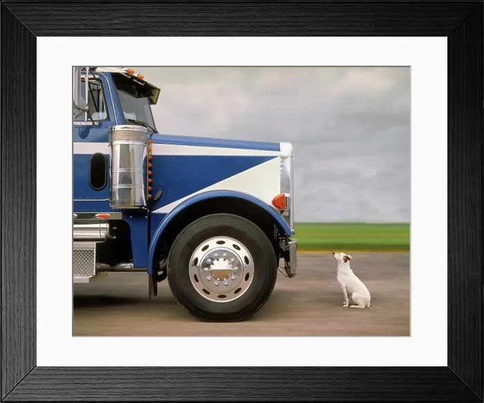 Framed Print : 4316, 4316-109 Framed Print : 4316, 4316-109