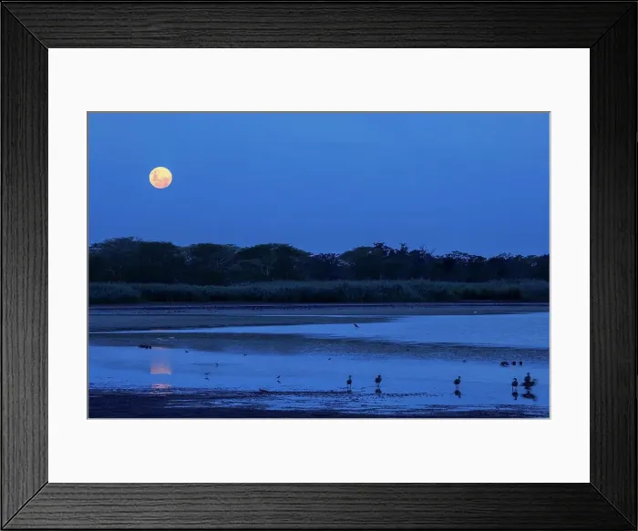 Framed Print : Moonrise at Nyamithi Pan. Ndumo Game Reserve
