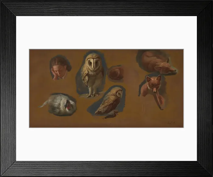 Framed Print : Studies Fox Barn Owl Peahen Head Young Man Jacques-Laurent Agasse Framed Print : Studies Fox Barn Owl Peahen Head Young Man Jacques-Laurent Agasse