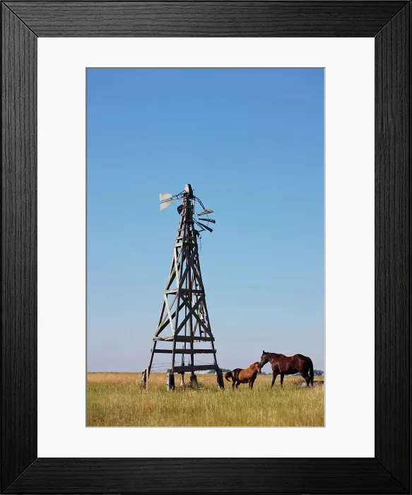 Framed Print : 4316, 4316-4115 Framed Print : 4316, 4316-4115