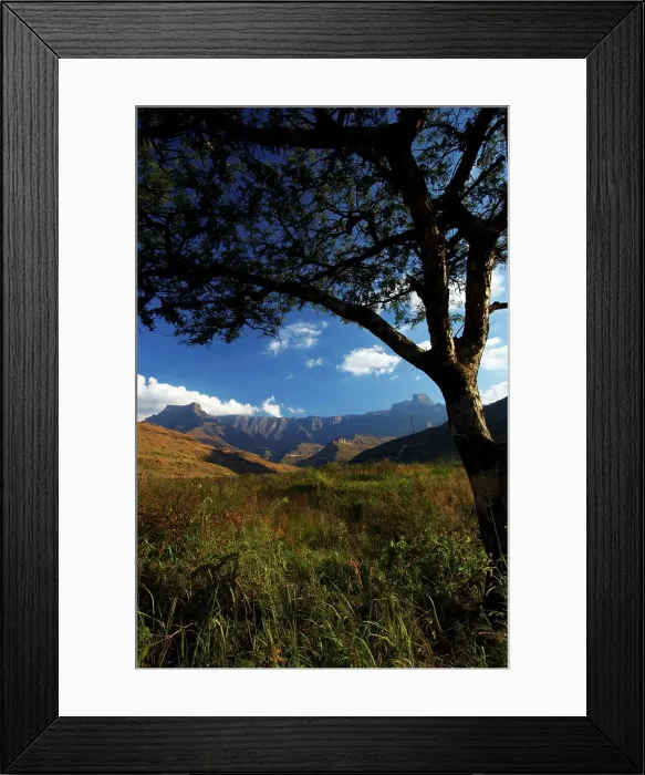 Framed Print : The Amphitheatre from the Tugela River