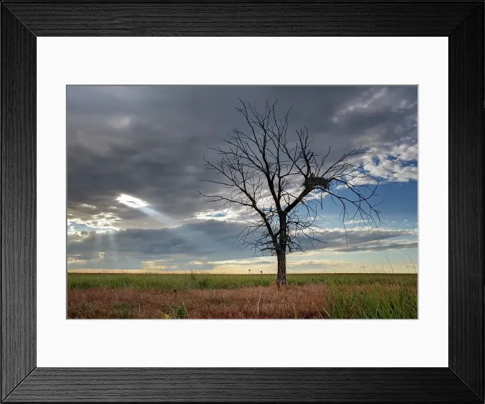 Framed Print : 4316, 4316-4119