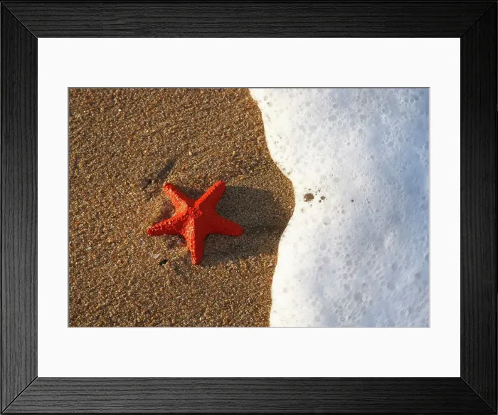 Framed Print : Starfish (plastic) on beach. Umhlanga