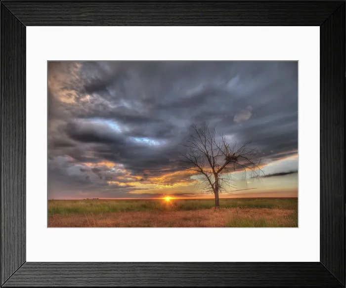 Framed Print : 4316, 4316-4122