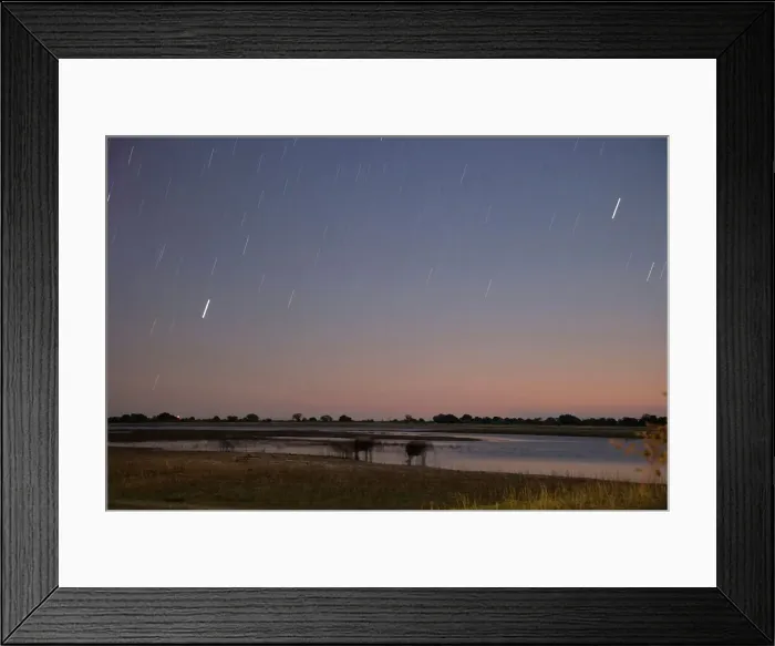 Framed Print : Elephant (Loxodonta Africana) Chobe National Park