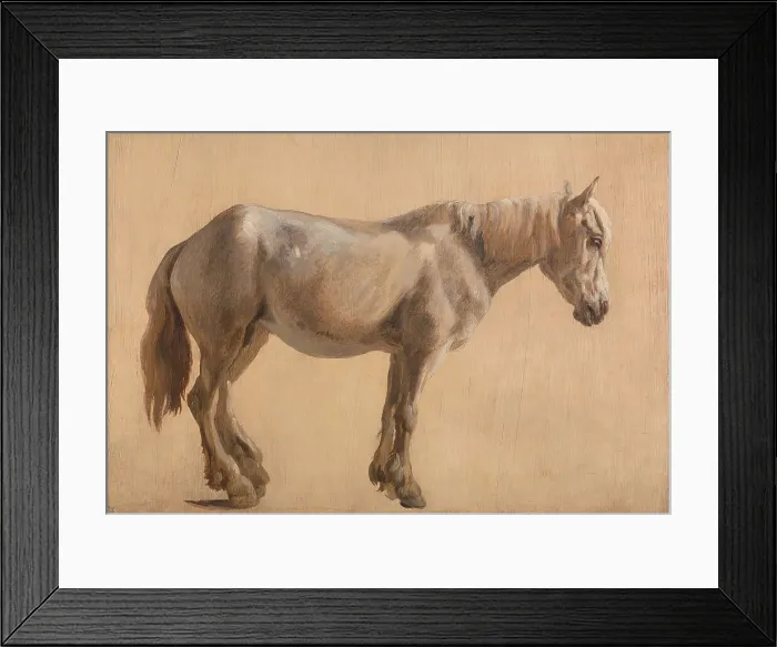 Framed Print : Study Grey Horse Jacques-Laurent Agasse 1767-1849 Framed Print : Study Grey Horse Jacques-Laurent Agasse 1767-1849
