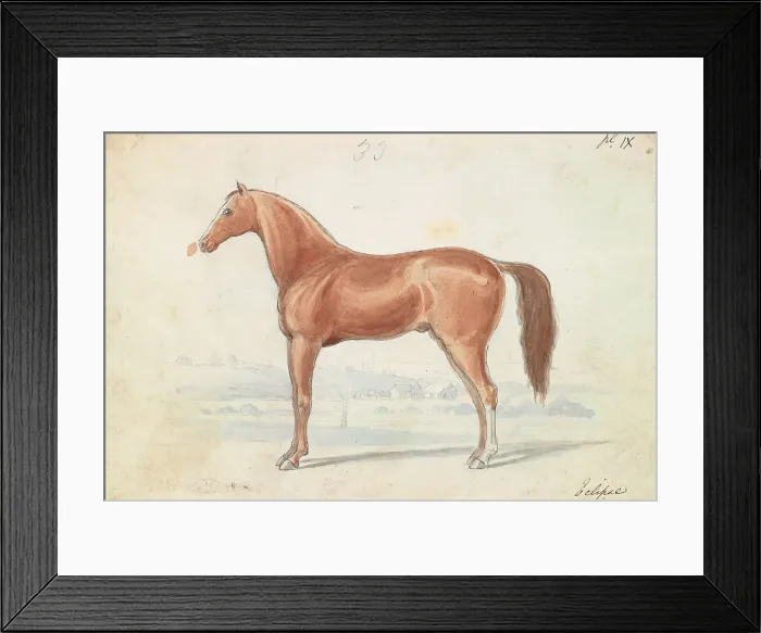 Framed Print : English Race-Horse Charles Hamilton Smith 1776-1859 Framed Print : English Race-Horse Charles Hamilton Smith 1776-1859