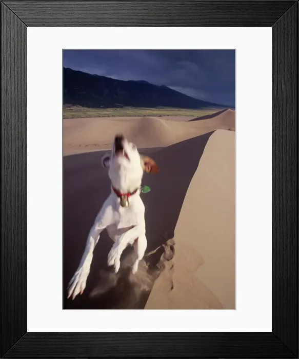 Framed Print : 4316, 4316-291 Framed Print : 4316, 4316-291