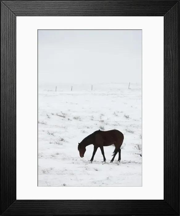 Framed Print : USA, Colorado, Eastern Plains of Colorado Framed Print : USA, Colorado, Eastern Plains of Colorado
