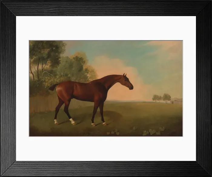 Framed Print : Bay Horse Field John Boultbee 1753-1812 British Framed Print : Bay Horse Field John Boultbee 1753-1812 British