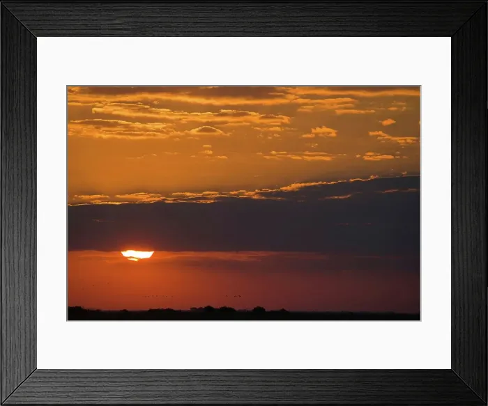Framed Print : Chobe National Park. Botswana Framed Print : Chobe National Park. Botswana