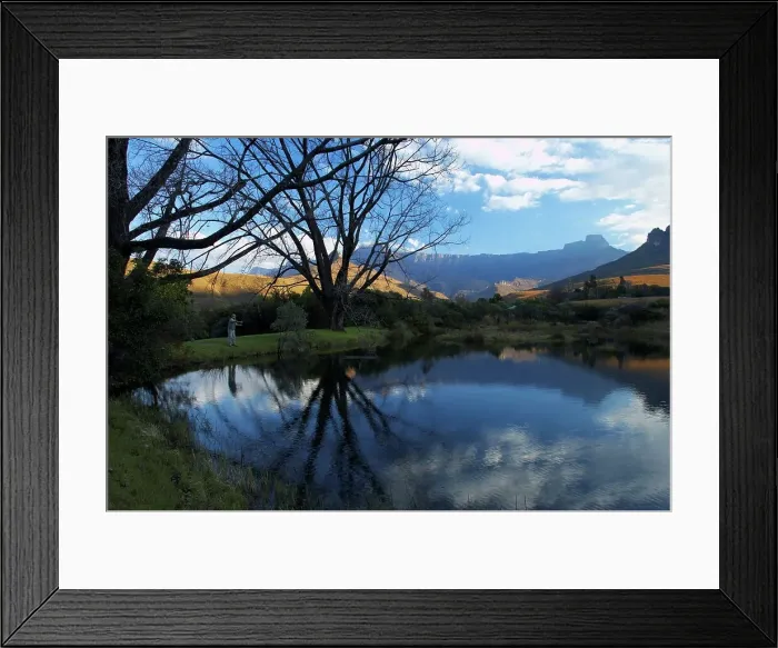 Framed Print : Trout fishing. Royal Natal National Park
