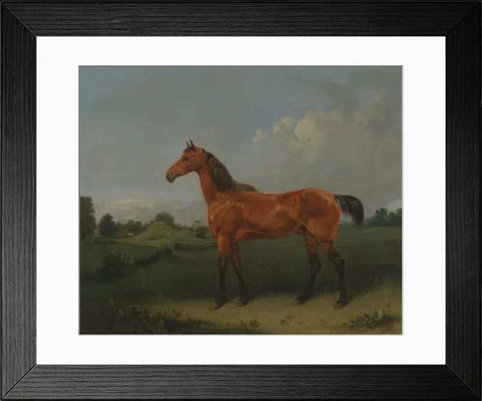 Framed Print : Bay Horse Field Edmund Bristow 1787-1876 British Framed Print : Bay Horse Field Edmund Bristow 1787-1876 British