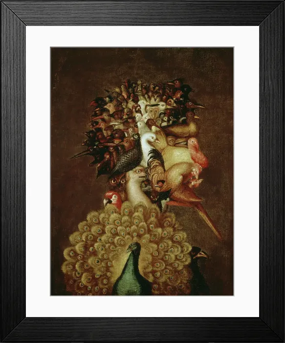 Framed Print : The Air by Giuseppe Arcimboldi Framed Print : The Air by Giuseppe Arcimboldi