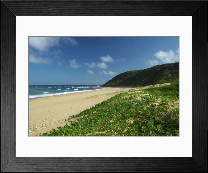 Framed Print : Coastal scene. Mabibi. Thongaland Framed Print : Coastal scene. Mabibi. Thongaland
