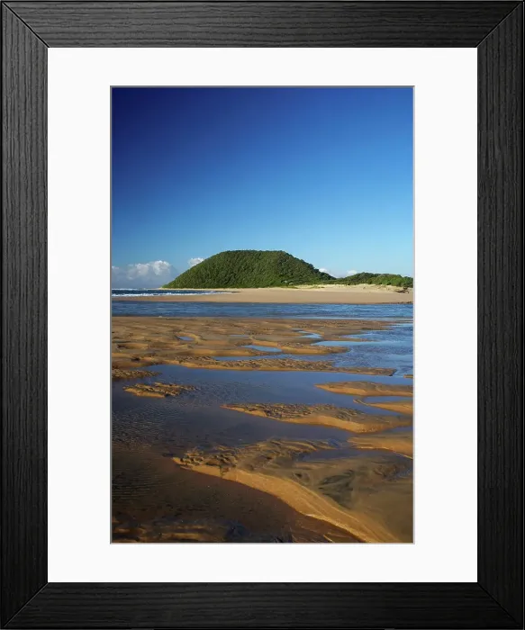 Framed Print : Maphelana. Greater St Lucia Wetland Park Framed Print : Maphelana. Greater St Lucia Wetland Park