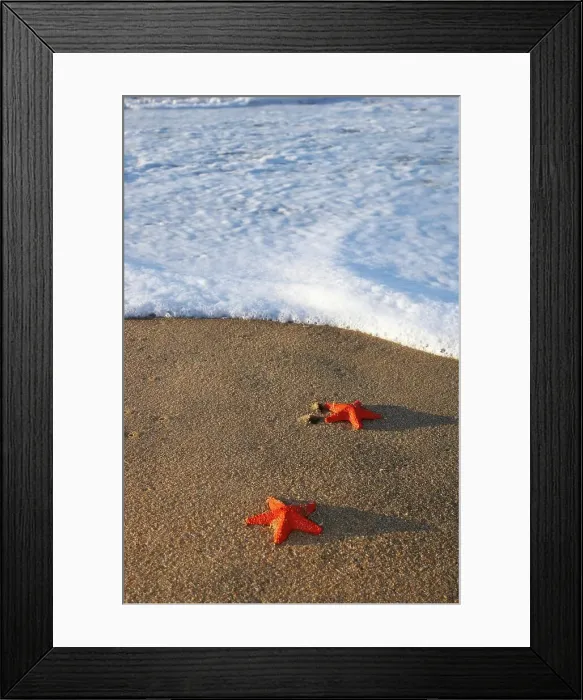 Framed Print : Starfish (plastic) on beach. Umhlanga Framed Print : Starfish (plastic) on beach. Umhlanga
