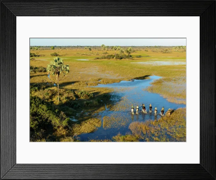 Framed Print : Horseback riding safari with African Horseback Safaris. Okavango Delta. Botswana Framed Print : Horseback riding safari with African Horseback Safaris. Okavango Delta. Botswana