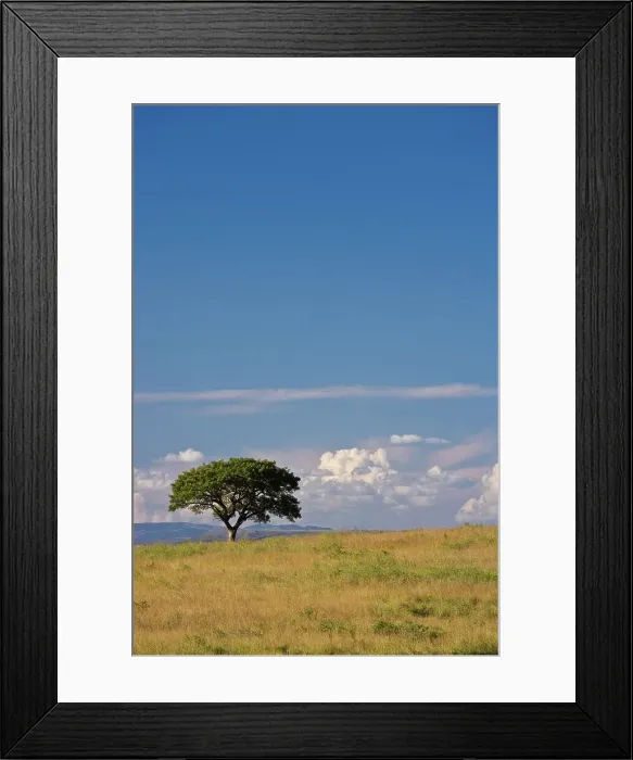 Framed Print : Itala Game Reserve. KwaZulu Natal. South Africa