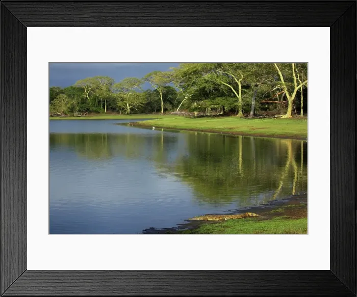 Framed Print : Nyamithi Pan. Ndumo Game Reserve Framed Print : Nyamithi Pan. Ndumo Game Reserve