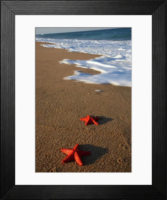 Framed Print : Starfish (plastic) on beach. Umhlanga