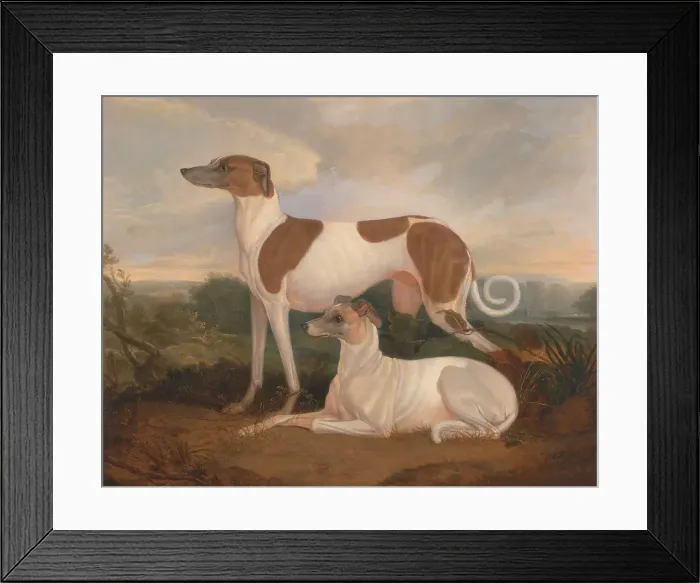 Framed Print : Two Greyhounds Landscape Charles Hancock 1802-1877 Framed Print : Two Greyhounds Landscape Charles Hancock 1802-1877