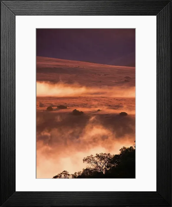 Framed Print : Mist at dawn in Ithala Game Reserve Framed Print : Mist at dawn in Ithala Game Reserve
