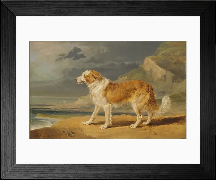 Framed Print : Rough-Coated Collie James Ward 1769-1859 British