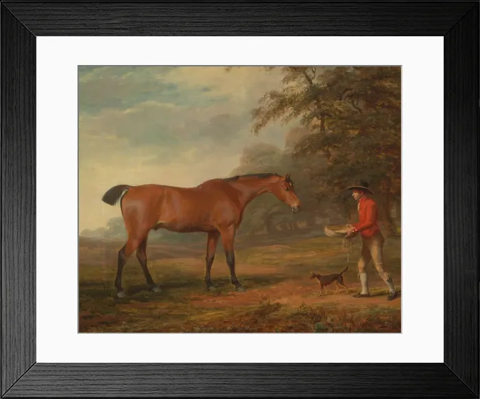 Framed Print : Bay Horse Approached Stable-Lad Food Halter George Garrard Framed Print : Bay Horse Approached Stable-Lad Food Halter George Garrard
