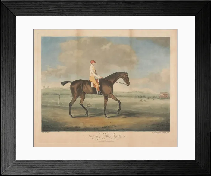 Framed Print : Racing Rosette. Property Henry Peirse Esq. William Ward Framed Print : Racing Rosette. Property Henry Peirse Esq. William Ward