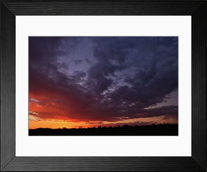 Framed Print : Madikwe Game Reserve. North West Province Framed Print : Madikwe Game Reserve. North West Province
