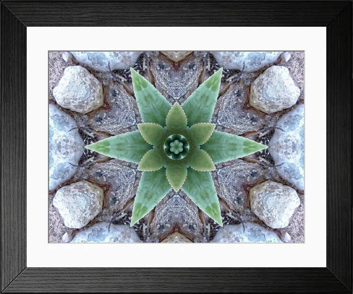 Framed Print : A crystal abstract made by applying fractal mirroring to a photo of an Aloe Vera plant Framed Print : A crystal abstract made by applying fractal mirroring to a photo of an Aloe Vera plant