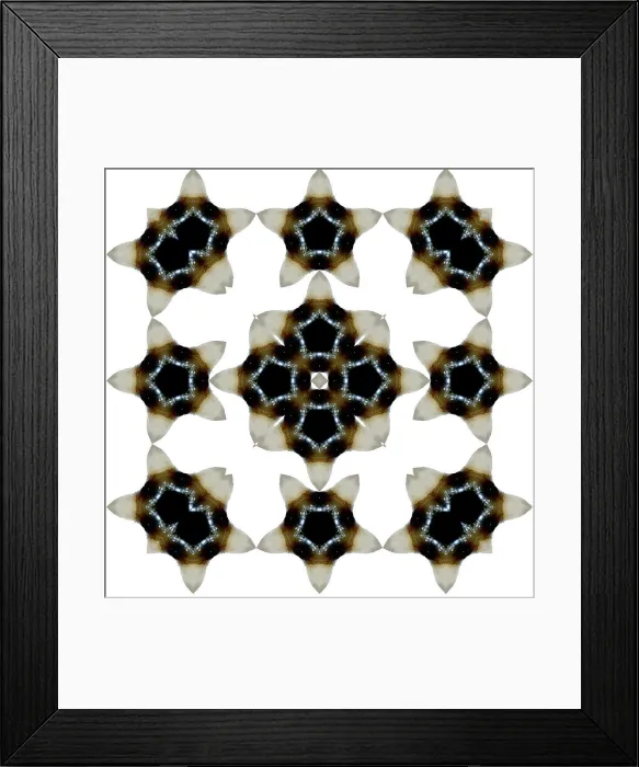 Framed Print : An abstract pattern made by taking a photo of a human tooth and applying fractal mirroring Framed Print : An abstract pattern made by taking a photo of a human tooth and applying fractal mirroring