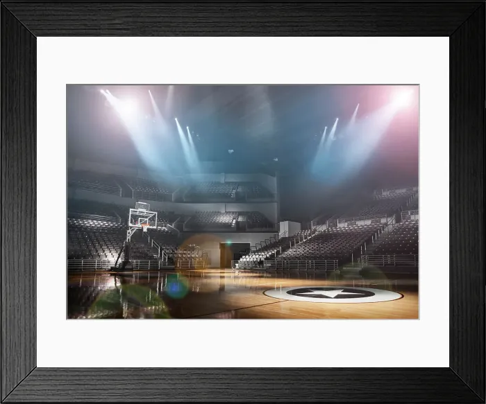 Framed Print : GART-254051 Framed Print : GART-254051