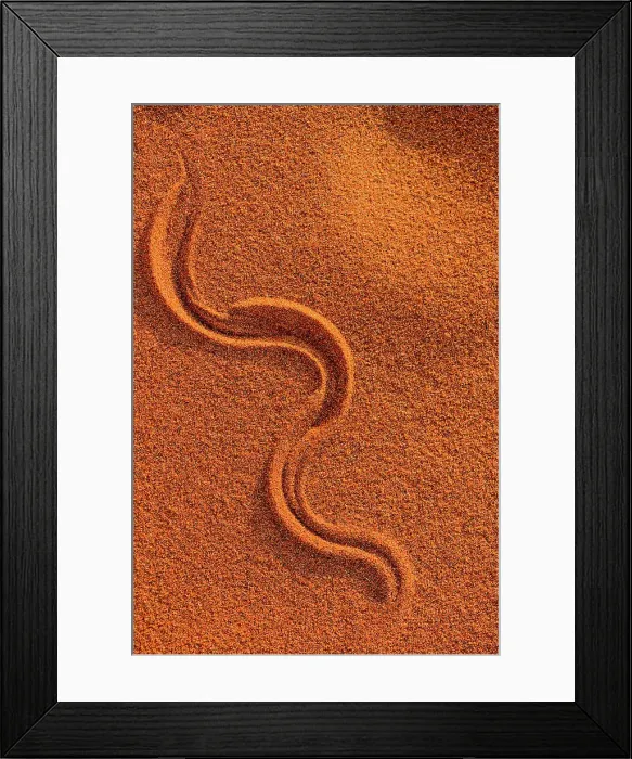 Framed Print : Tracks in dune sand. Sossusvlei Framed Print : Tracks in dune sand. Sossusvlei
