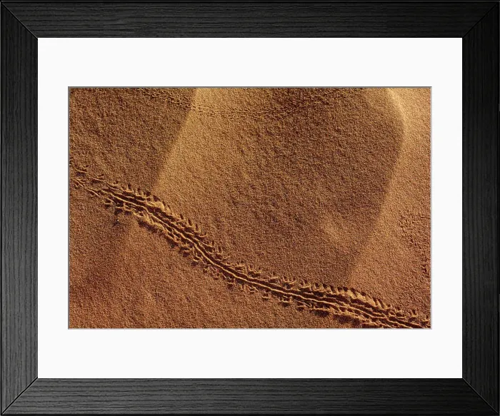 Framed Print : Insect tracks in desert sand. Sossusvlei Framed Print : Insect tracks in desert sand. Sossusvlei