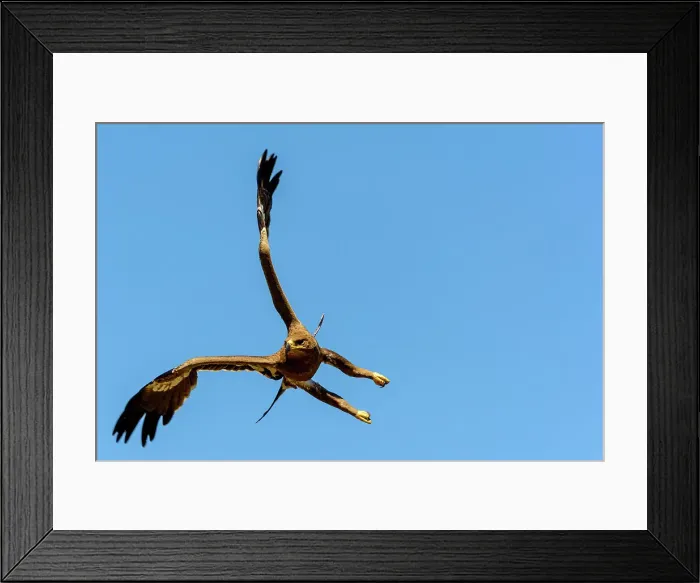 Framed Print : Bale Mountains National Park. Ethiopia Framed Print : Bale Mountains National Park. Ethiopia