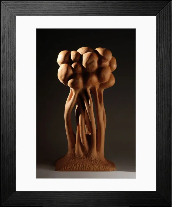 Framed Print : A Stand of Trees Framed Print : A Stand of Trees