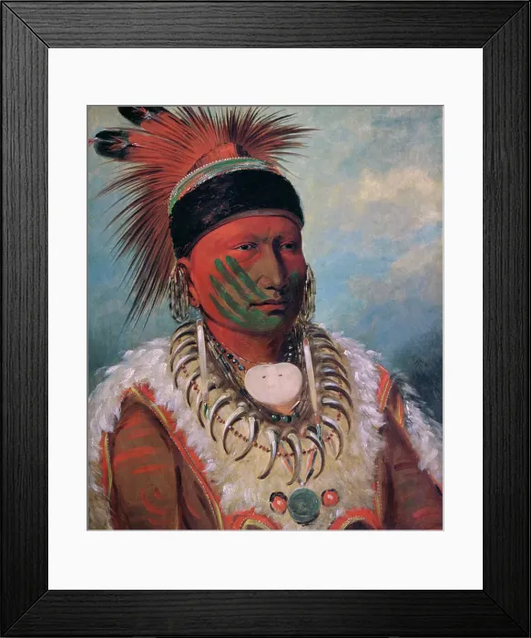 Framed Print : White Cloud, Chief of the Iowas by George Catlin Framed Print : White Cloud, Chief of the Iowas by George Catlin