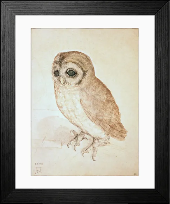 Framed Print : The Screech Owl by Durer Framed Print : The Screech Owl by Durer