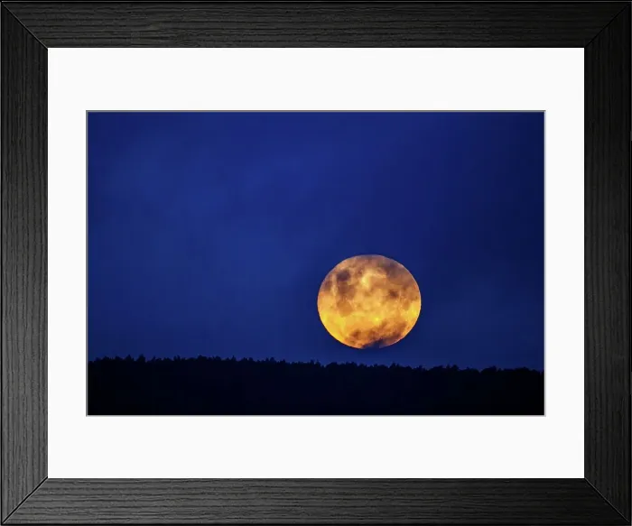Framed Print : A Supermoon (Super Moon) rising