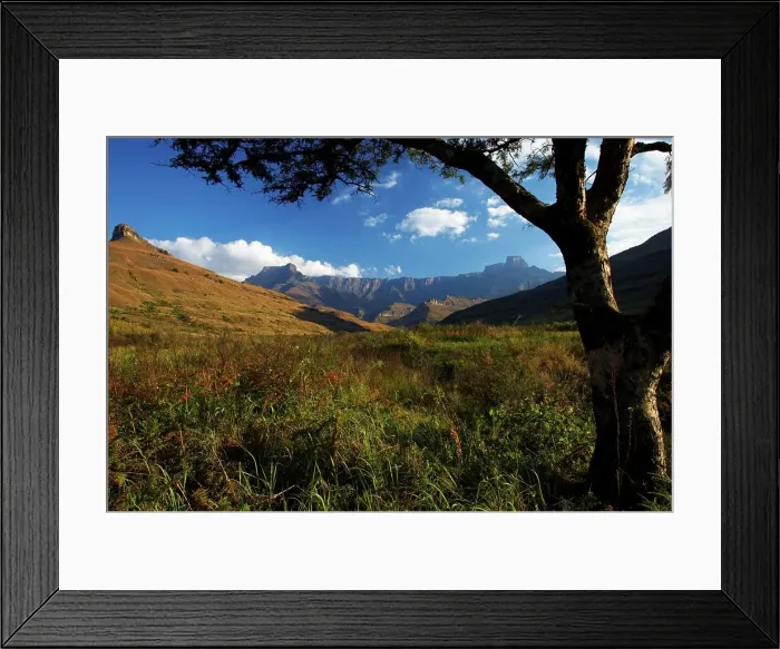 Framed Print : The Amphitheatre from the Tugela River