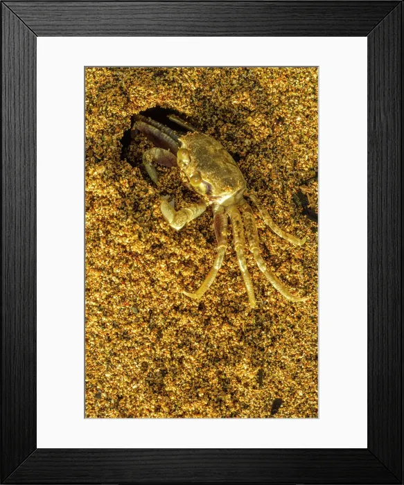 Framed Print : Hawaiian Holiday Kauai Hawaii USA Lae Nani Beach Framed Print : Hawaiian Holiday Kauai Hawaii USA Lae Nani Beach