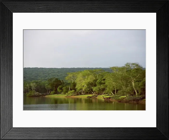 Framed Print : Nyamithi Pan. Ndumo Game Reserve