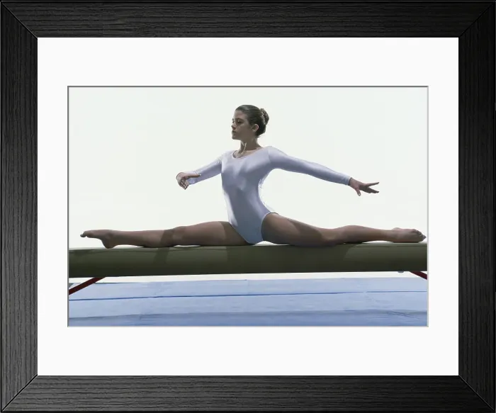 Framed Print : 1099, 1099-249 Framed Print : 1099, 1099-249