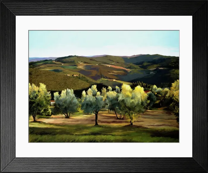 Framed Print : Olive Grove In Italy 2002 Helen J Framed Print : Olive Grove In Italy 2002 Helen J