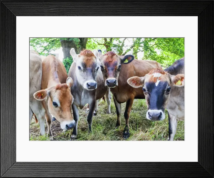 Framed Print : United Kingdon, Channel Islands Framed Print : United Kingdon, Channel Islands