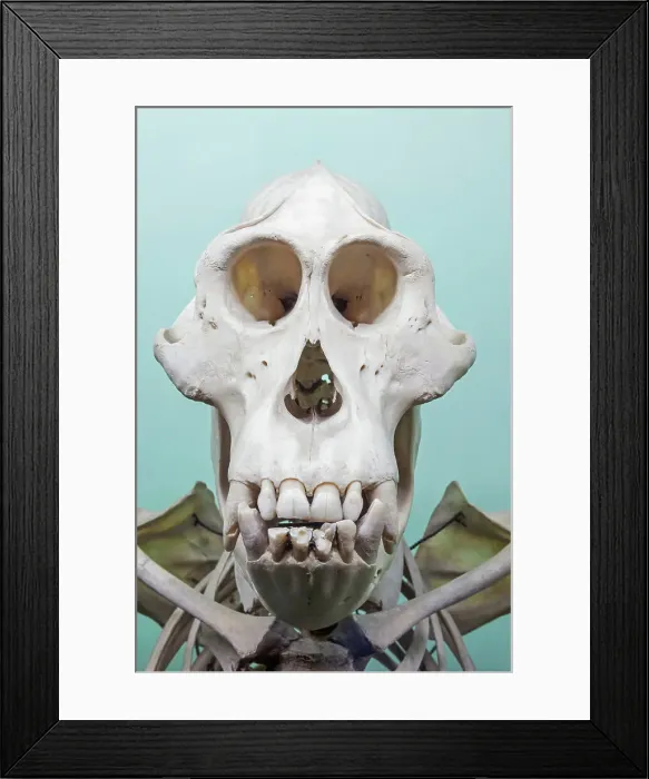 Framed Print : England, London, Forest Hill, Horniman Museum